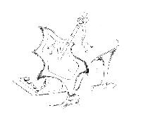 寅叶子创意手稿—为自己名字设计的手稿画