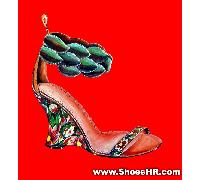 红花绿鞋