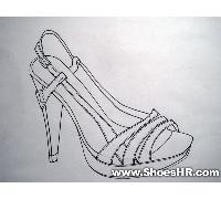 女鞋草图