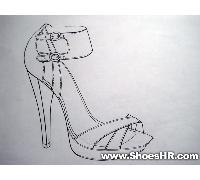 女鞋草图