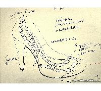 星星系列（日本）